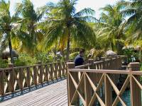 moorea beachcomber 3 